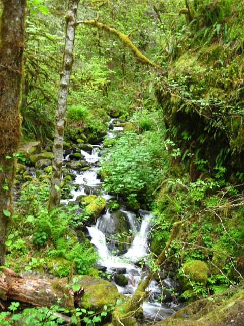 Eagle Creek-130.JPG - Eagle Creek